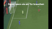 Rapid Wien Fifa GIF