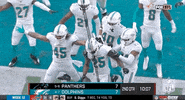 Miami Dolphins Football GIF by NFL