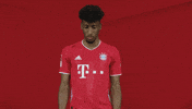 Proud Bayern Munich GIF by Bundesliga