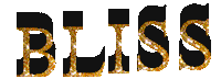 bliss text-test Sticker