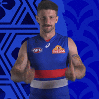 Aussie Rules Football Dogs GIF by Western Bulldogs
