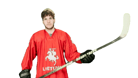 Hockey Sticker by ledoritulys.lt