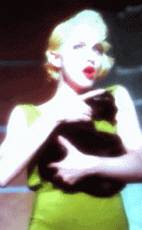 express yourself cat GIF