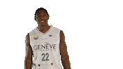 Basketball Basket Sticker by Lions de Genève