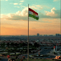 Flag Al GIF