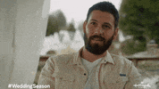 Casey Deidrick Wedding Season GIF by Hallmark Channel