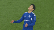 Sad Oh No GIF by FC Schalke 04