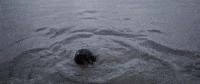 aftershock GIF by Cash Cash