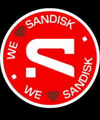 Tech Flash GIF by Sandisk