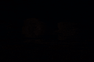 Charlie Brown Halloween GIF by Peanuts