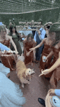 Jwedison Gifs GIF