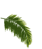 Strand Palme Sticker by fti_touristik