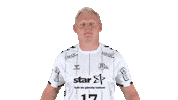 Handball-Bundesliga Handball Sticker by LIQUI MOLY HBL