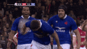 Celebrate France GIF by Guinness Six Nations