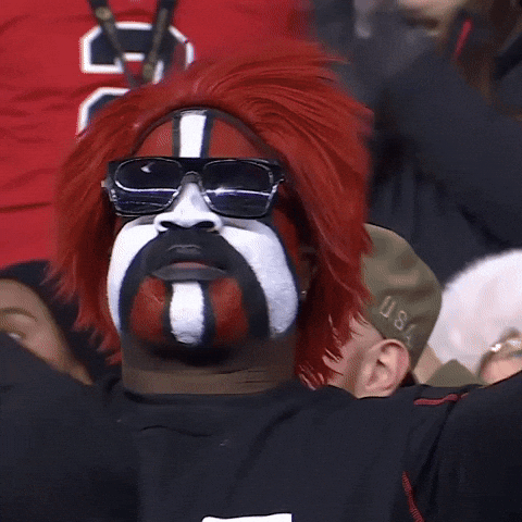 Lets Go Football GIF by Atlanta Falcons