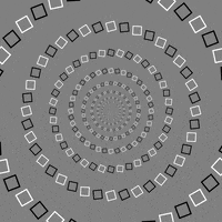 Black And White Circle GIF by Feliks Tomasz Konczakowski