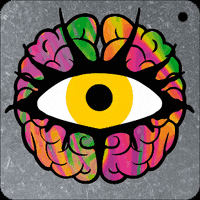 Pedalbrainz pedalbrainz GIF
