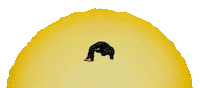 The Sun Sticker by Columbia Records