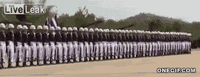 wave GIF