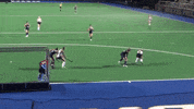 Field Hockey Goal GIF by Lafayette Leopards