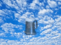 piratesparley beer drunk drinking princess GIF