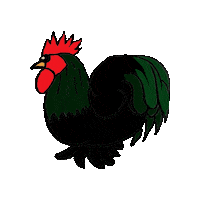 Rooster Hahn Sticker