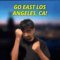 Los Angeles California GIF