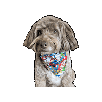 Bandana Dog Sticker by Geekster Pets