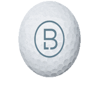 Golf Realestate Sticker by Brandon Lawn Real Estate