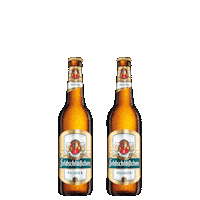 feldschloesschen_dd beer bier prost dresden Sticker