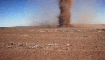 guy selfie GIF