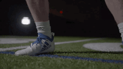 GIF by Delaware Blue Hens