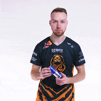 Red Bull Esports GIF by ENCE