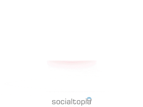 socialtopia giphyupload GIF