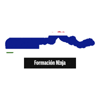 The Gambia Flag Sticker by Formación Ninja