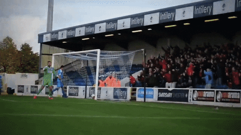 YorkCityFC giphyupload ycfc yorkcityfc york city GIF