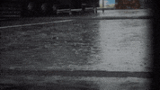 Formula 1 Sport GIF by McLaren