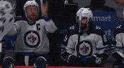 Ice Hockey GIF by NHL