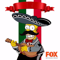 GIF by FNG mexico