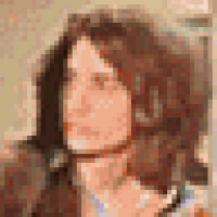 gifs for ants GIF