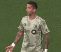 Vamos Come On GIF by Major League Soccer