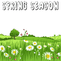 Happy Spring Day Sticker by Pudgy Penguins