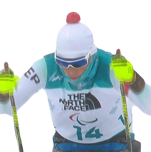 Winter Olympics Sport Sticker by International Paralympic Committee