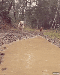 fun mud GIF