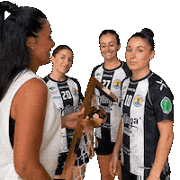Costa Del Sol Handball Sticker by Club Balonmano Femenino Málaga Costa del Sol