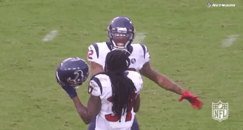 2019 Nfl Football GIF by NFL