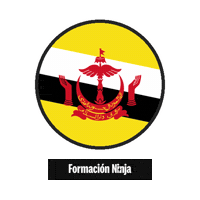 Brunei Flag Sticker by Formación Ninja