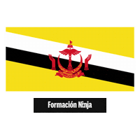 Brunei Flag Sticker by Formación Ninja