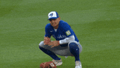 Blue Jays Baseball GIF by Toronto Blue Jays