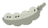 Baby Pregnancy Sticker
